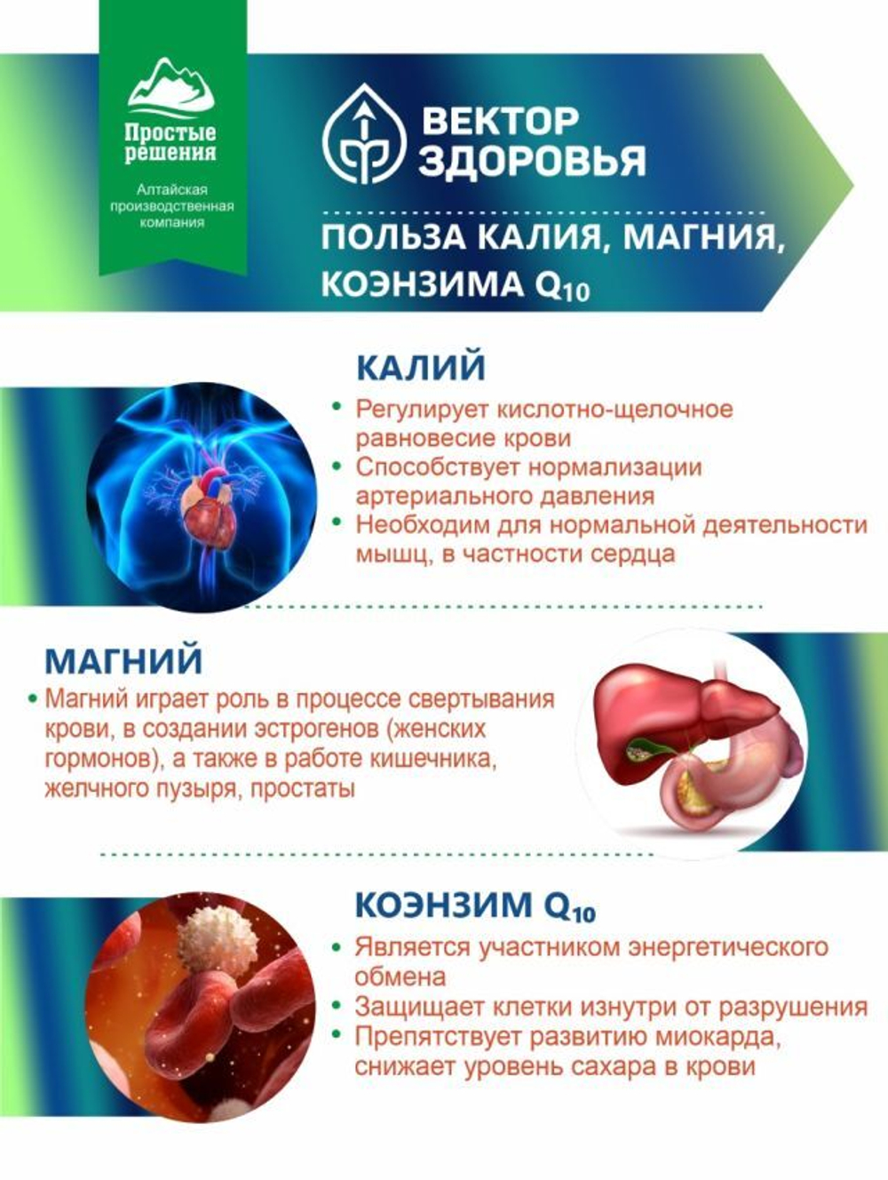 Комплекс - калий, магний, коэнзим Q10