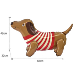 Собака такса Ростовой шар