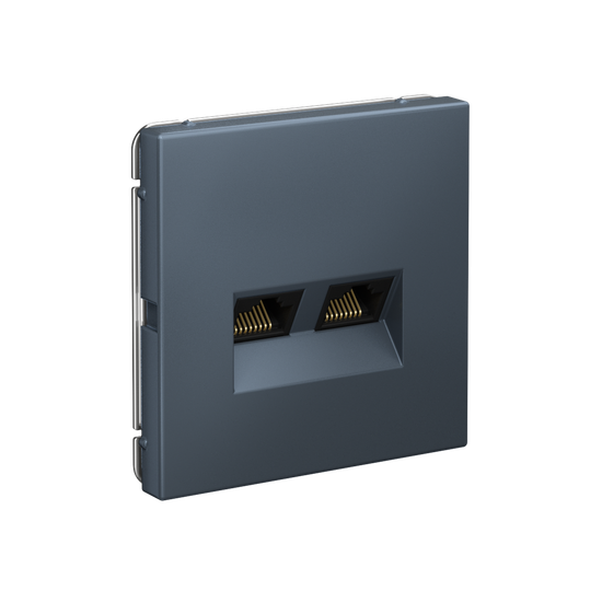 Розетка компьютерная 2-м ArtGallery RJ45 + RJ45 кат.5E механизм грифель SE GAL000785