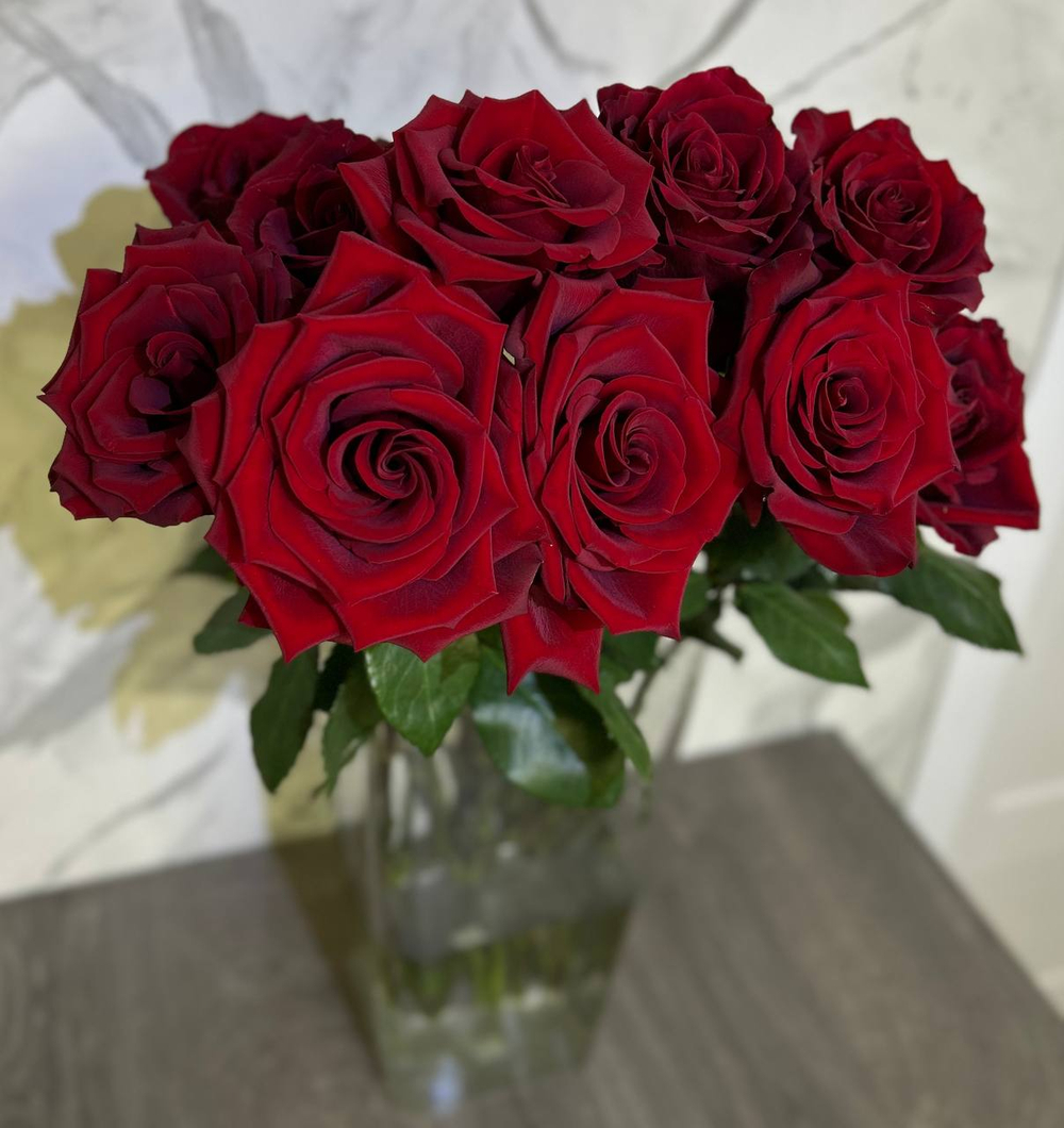 Премиальная эквадорская красная роза Explorer 70 см