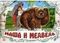 Панорамка.Маша и медведь