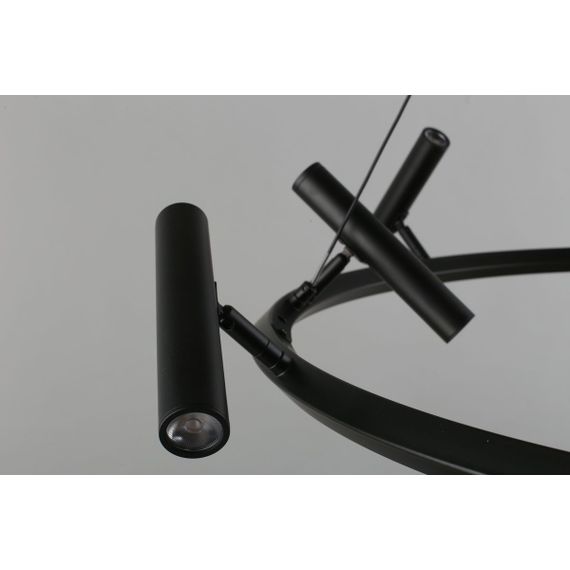 Подвесная светодиодная люстра Aployt Honor APL.067.03.50