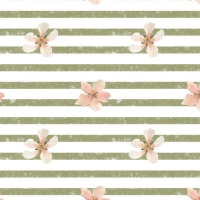 Оливковая полоска. Olive strip.