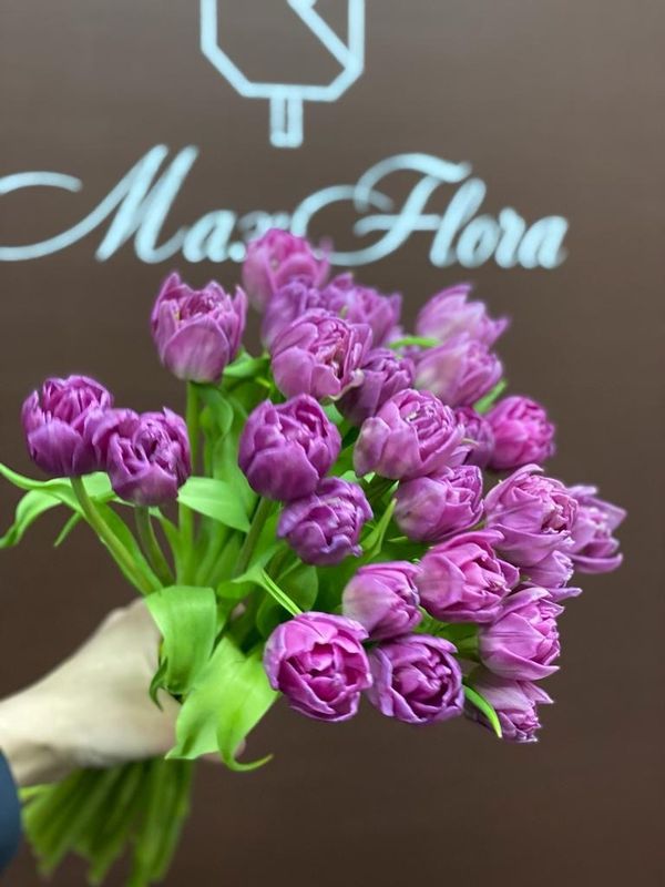 25 Тюльпанов 8 марта Б-487