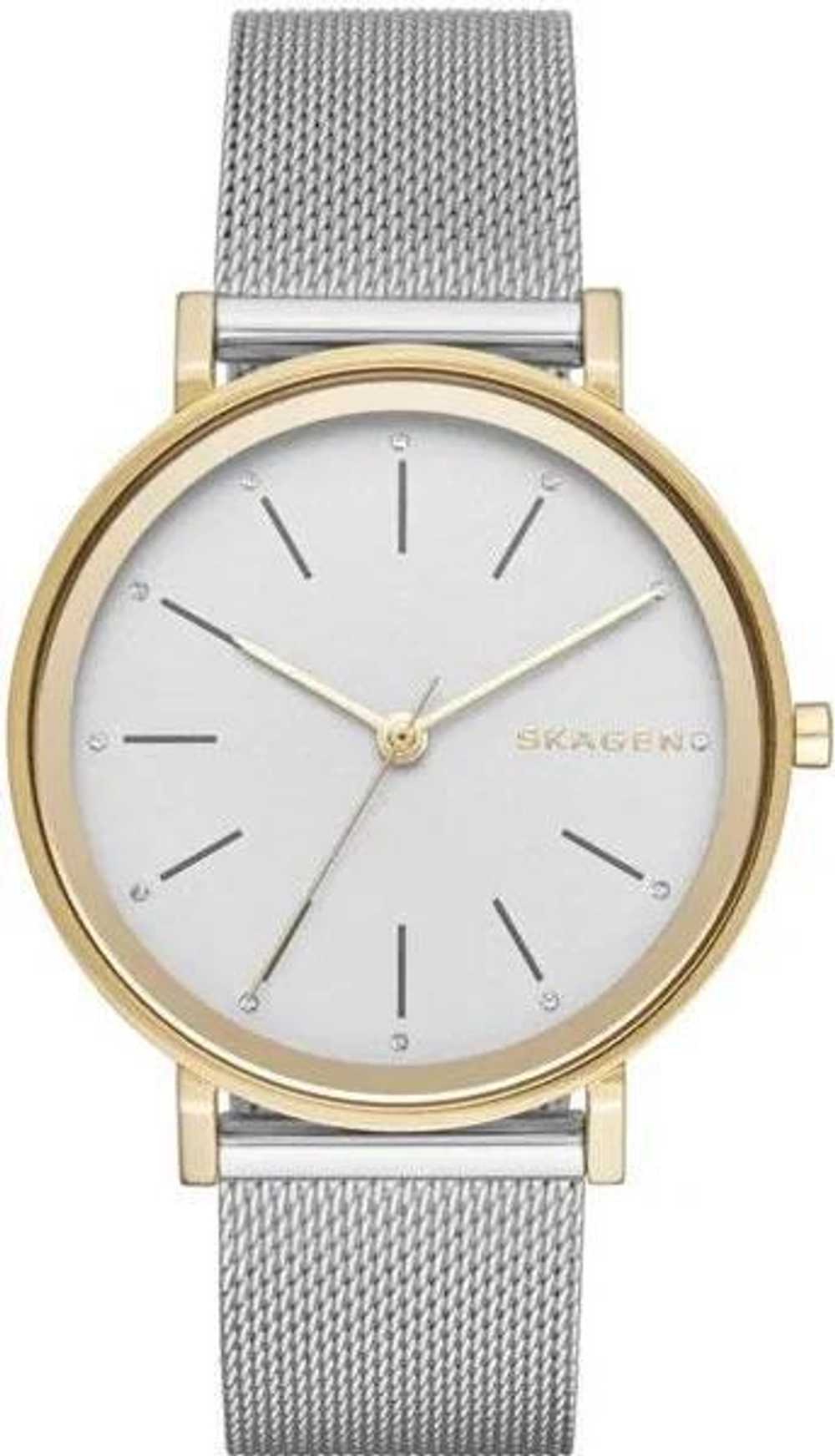 Женские наручные часы Skagen SKW2508