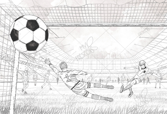 Коллекция MF0729