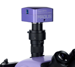 Микроскоп стереоскопический цифровой MAGUS Stereo D9T