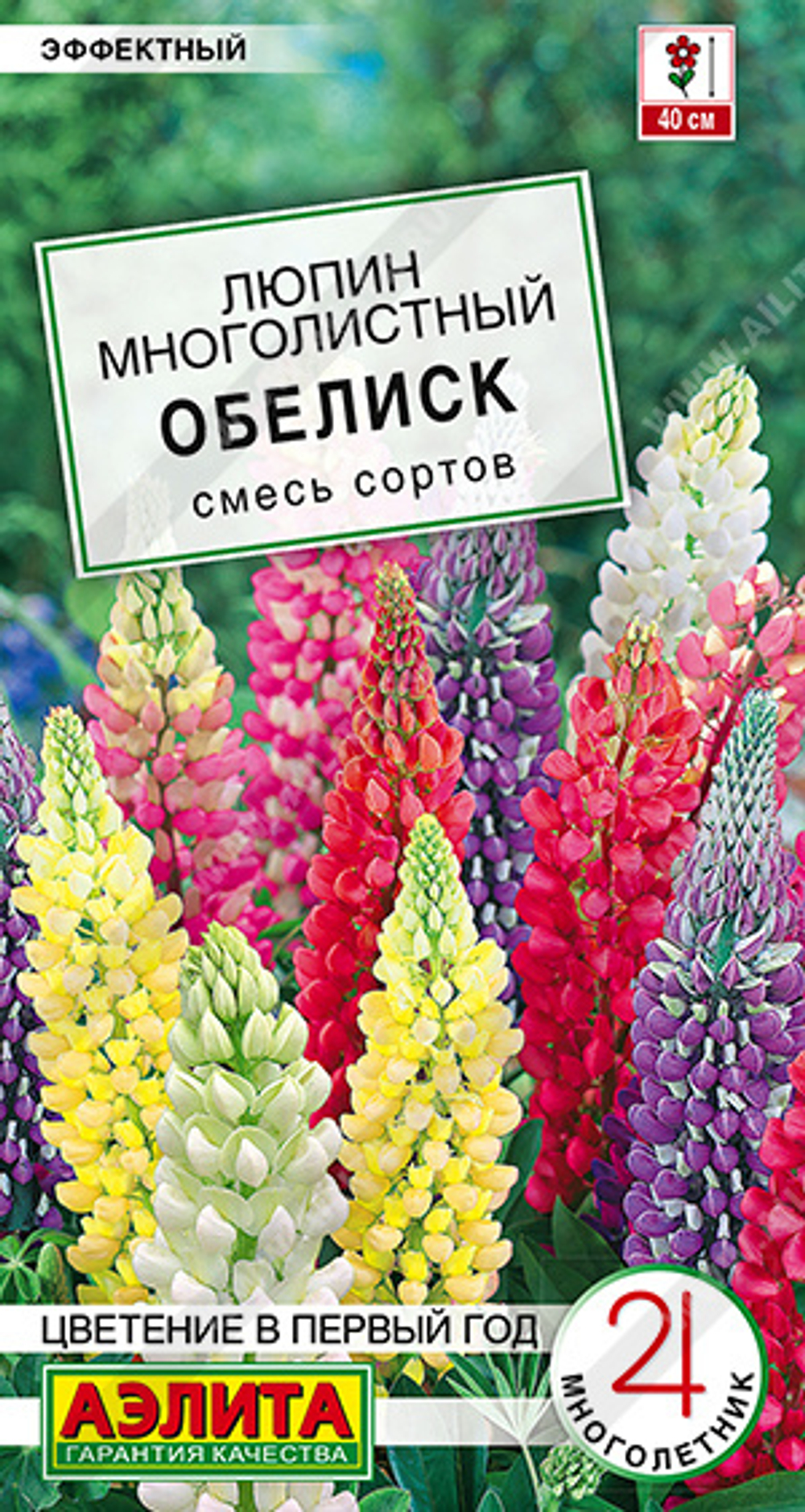 Люпин Обелиск, смесь сортов 7шт Аэлита