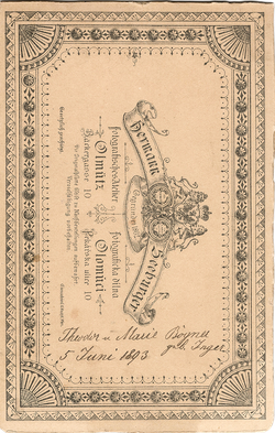 Серия студийных фотопортретов. Австро-Венгерская Империя. Конец XIX – начало XX века.