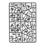 Vanguard: Disciples of Tzeentch