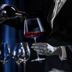 Бокал для вина 800 мл хр. стекло Burgundy " " d 8,3/11,6 см h24 см Lucaris [6]