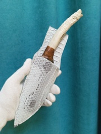 Ножны из кожи питона 23смХ 7 см 2