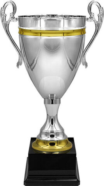 Кубок "Никель"