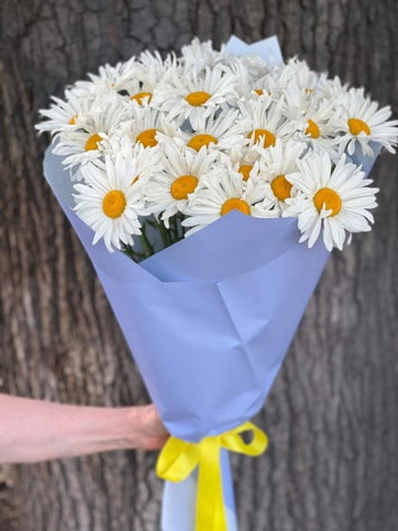 Букет из крупных ромашек