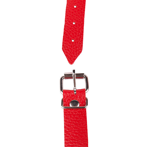 Кляп-шар 4см с красным кожаным ремешком Sitabella BDSM Accessories 3091-2