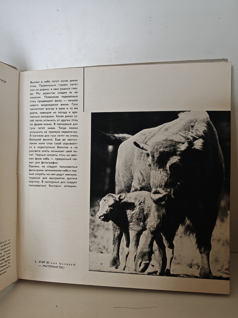 Фото-приключения