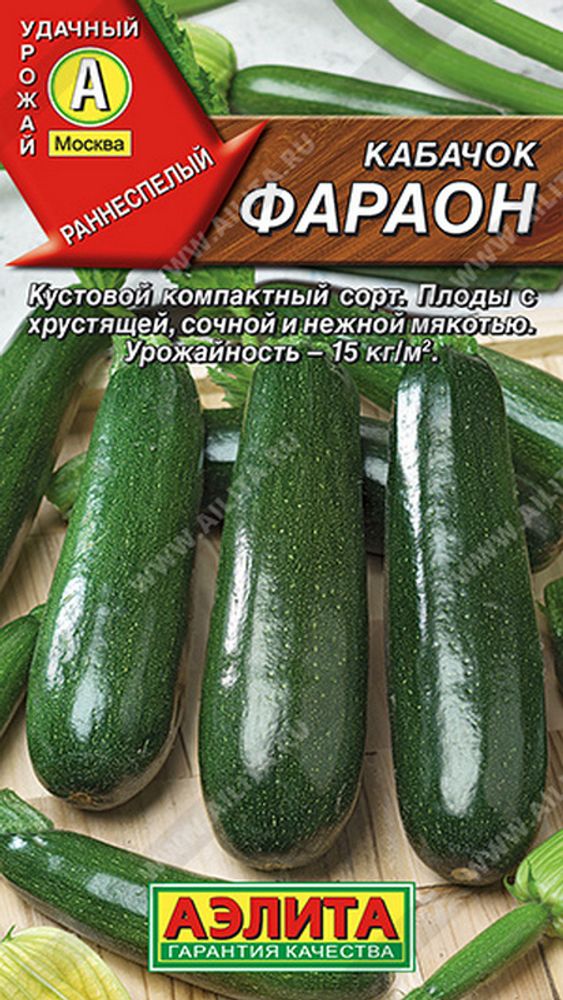 Кабачок &quot;G. Фараон&quot; 2г., Россия.