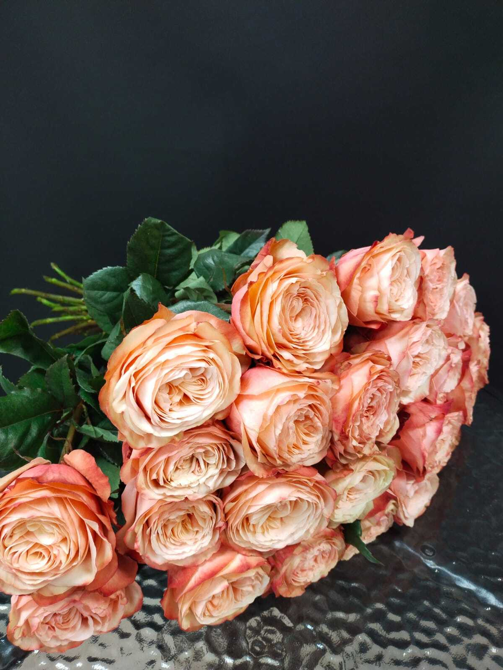 Роза Кахала (пионовидная)