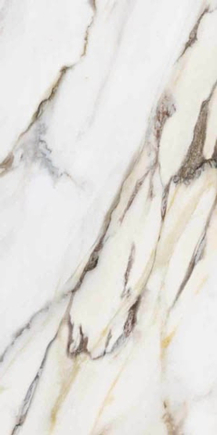 Керамогранит MARMO E PIETRA MACCHIA ANTICA LAPP/RETT (163003)