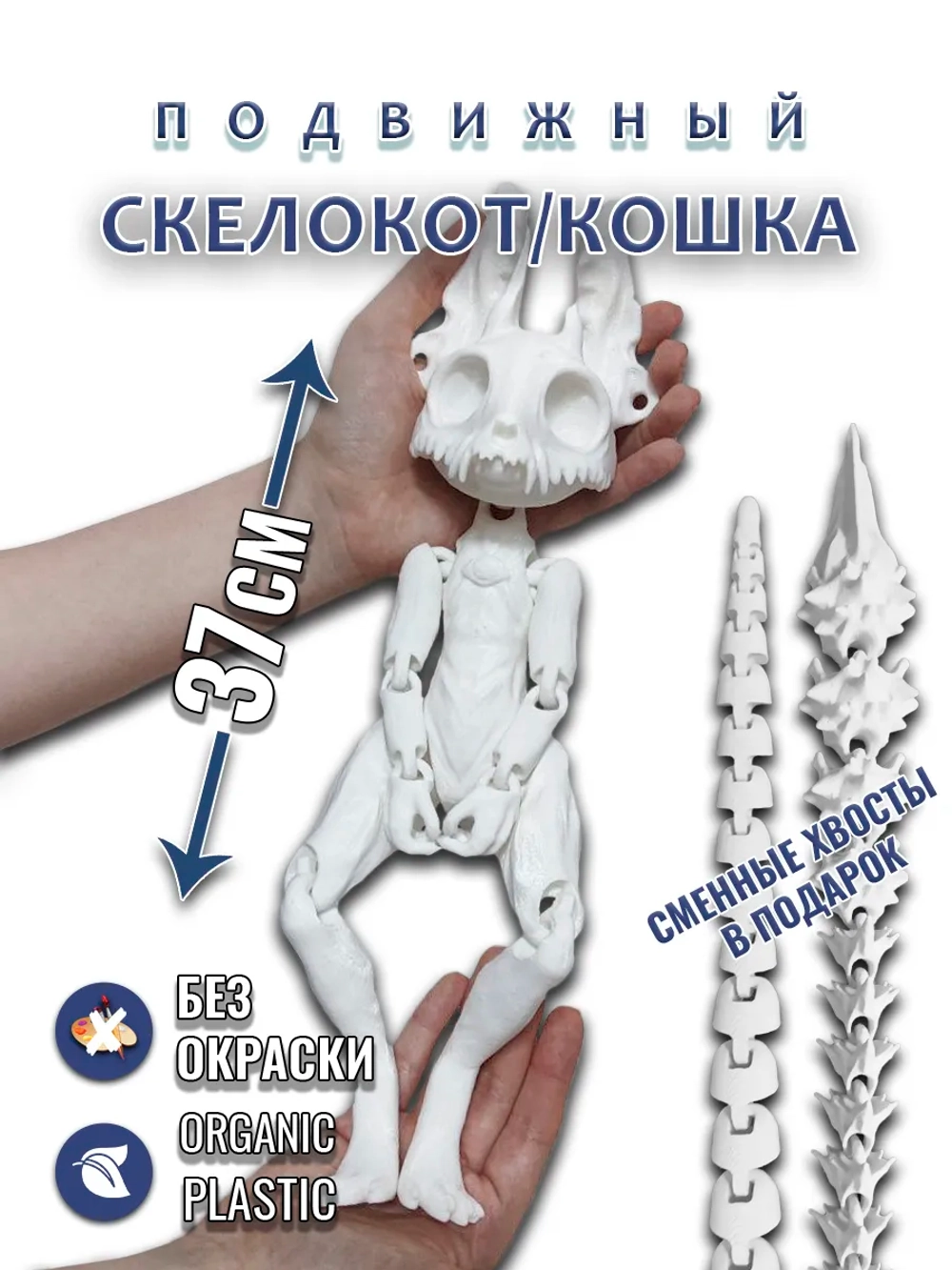 Большой Скелет Кошки