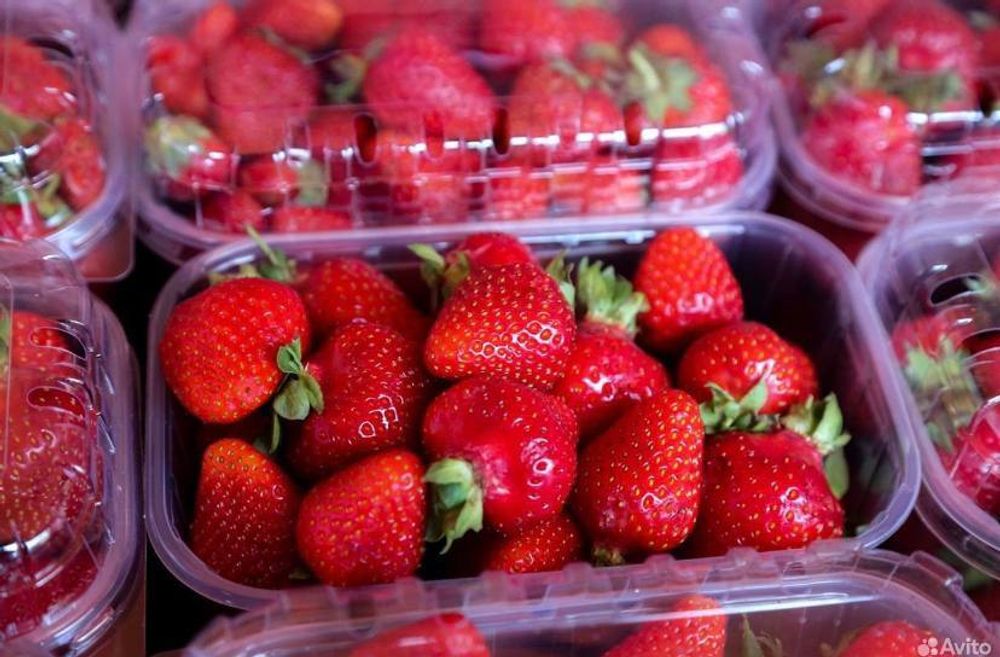 Крышка на ягодный бокс