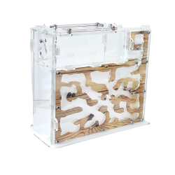 Муравьиная ферма "Сакура L"