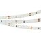 Светодиодная лента Arlight 4,8W/m 60LED/m 2835SMD теплый белый 5M 010597(2)