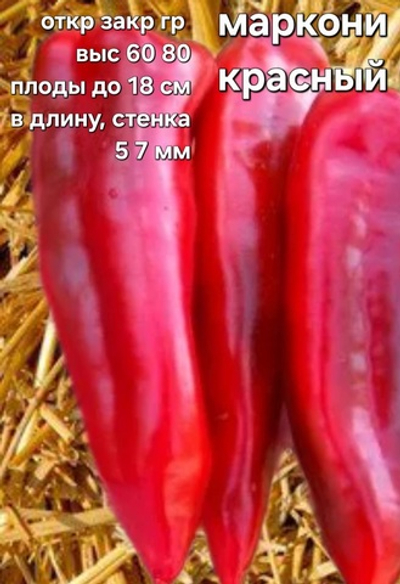 РАССАДА ПЕРЦЕВ МАРКОНИ КРАСНЫЙ