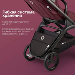 Прогулочная коляска Bugaboo Dragonfly complete Black/Dark Cherry-Dark Cherry