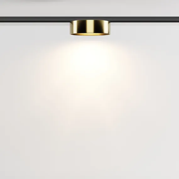 Трековый светильник Зон / Zon Levity 3000К 12Вт 100° Technical tr189-1-12w3k-bbs