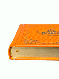 IMG_4559-Photoroom.png-Photoroom