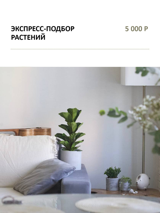 "ЭКСПРЕСС-ПОДБОР РАСТЕНИЙ"