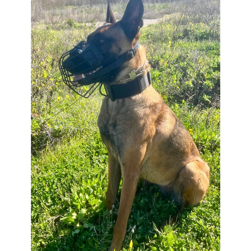 Тактический ошейник с ручкой K9 INDUSTRIES