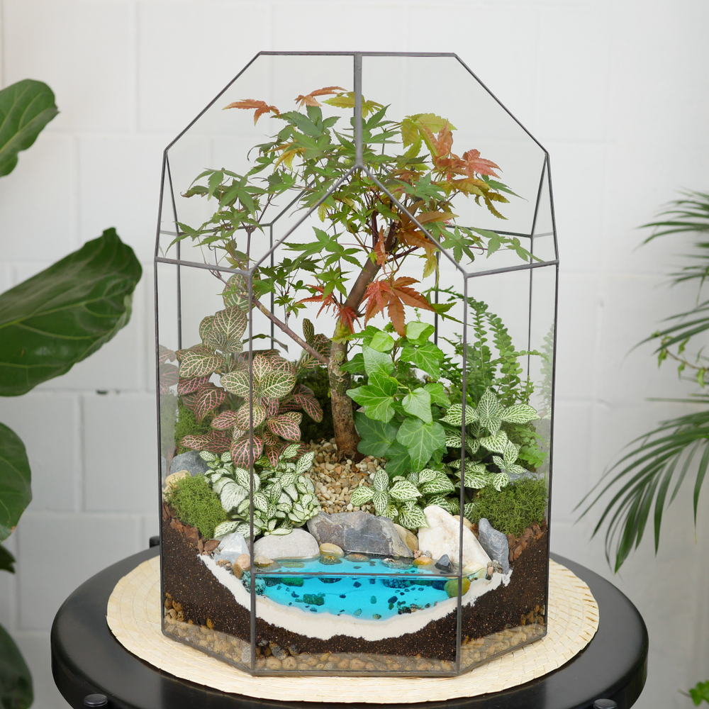 Готовый флорариум бонсай Клён Бонсариум XL с озером