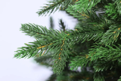 Ель искусственная Царь елка Ева 70 см ЕВ-70