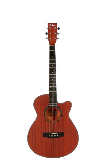 Акустическая гитара Fabio FB4060 N