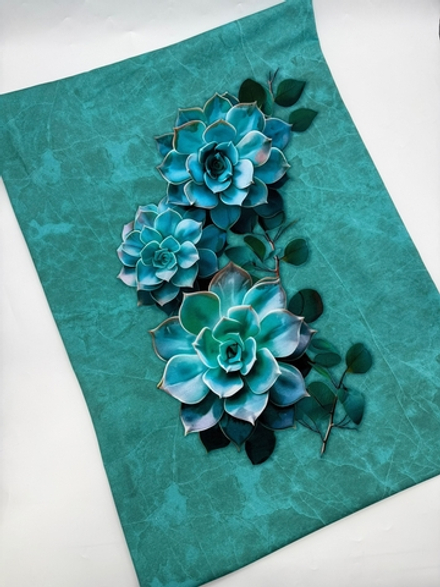 Эхеверия купон