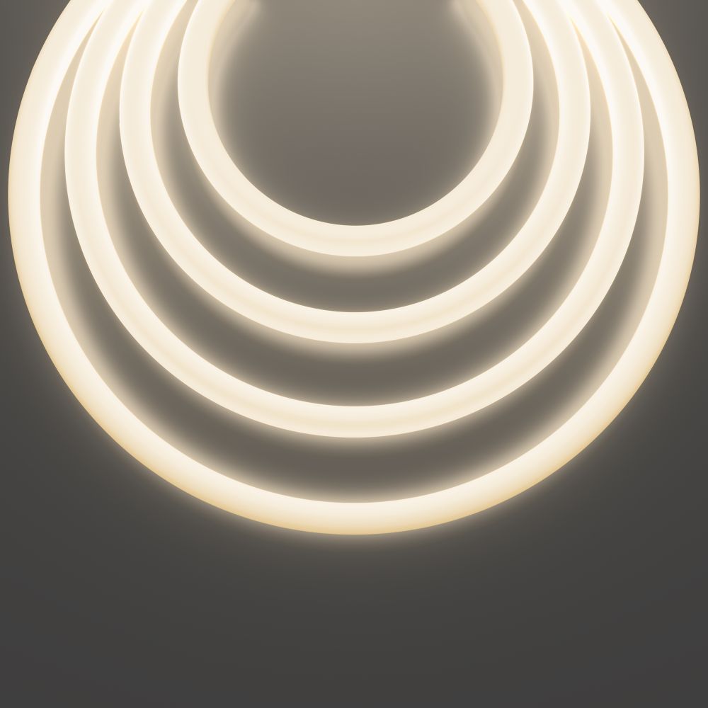 Гибкий неон Led Strip 20307