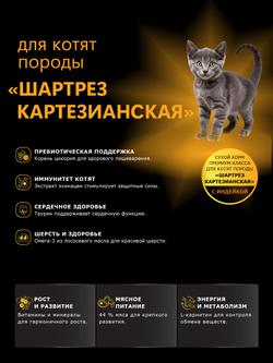 Корм сухой для котят породы Шартрез Картезианская, с индейкой, 400 гр, QUATTRO