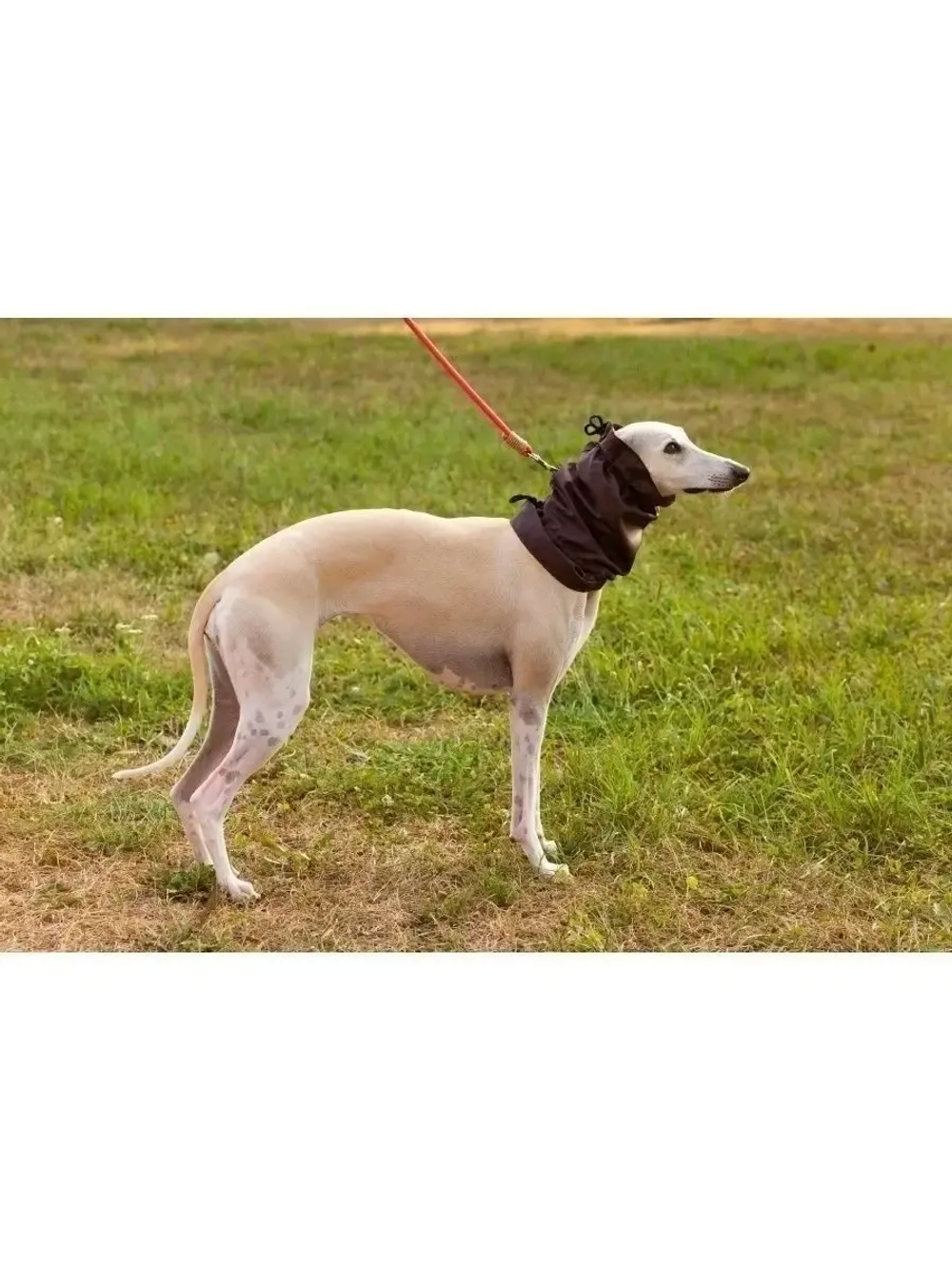 Снуды для собак непромокаемый шапка шарф для животных