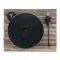 Auris Funky Rustic Walnut