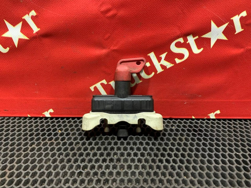 Выключатель массы