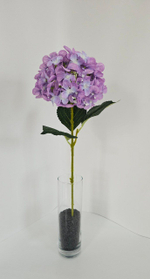 Гортензия / Арт 2099