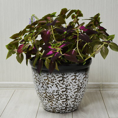 Кашпо Тирамису 35см h29см