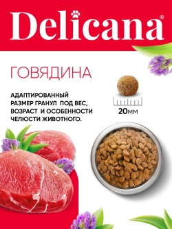 Delicana сухой полнорационный корм для взрослых собак круп пород, говядина, 18кг