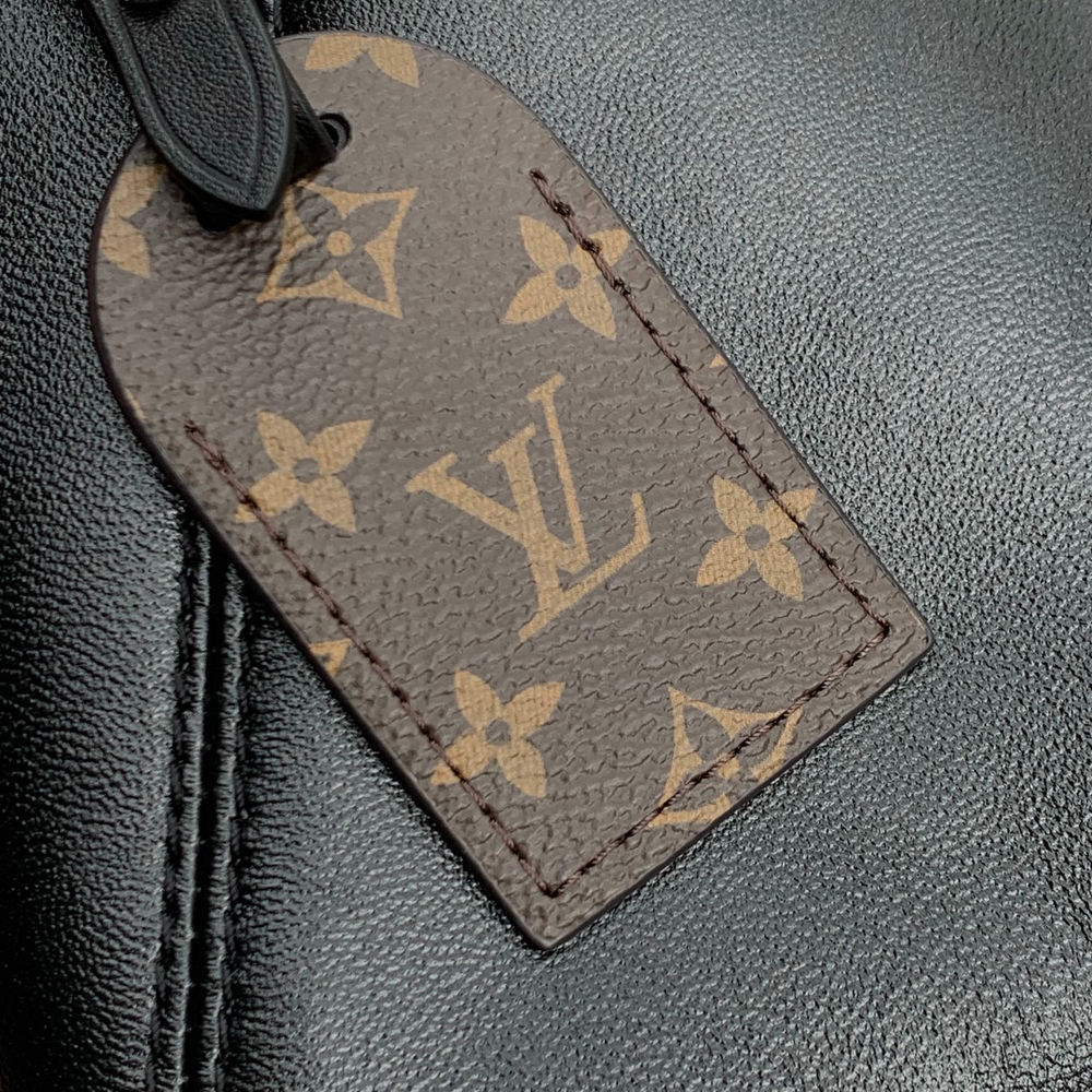 Louis Vuitton CarryAll BB