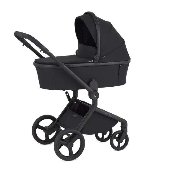 Коляска ANEX Flo 3 в 1 Lungo