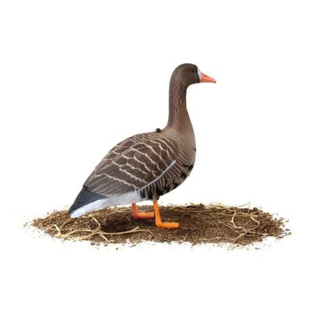 Комплект чучел Белолобый гусь (10шт) 3D "Softplast" B10S-3D