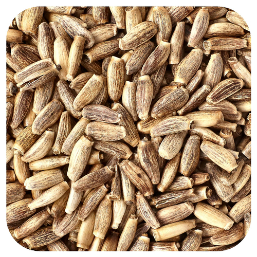 Starwest Botanicals, органические семена расторопши, 453,6 г (1 фунт)