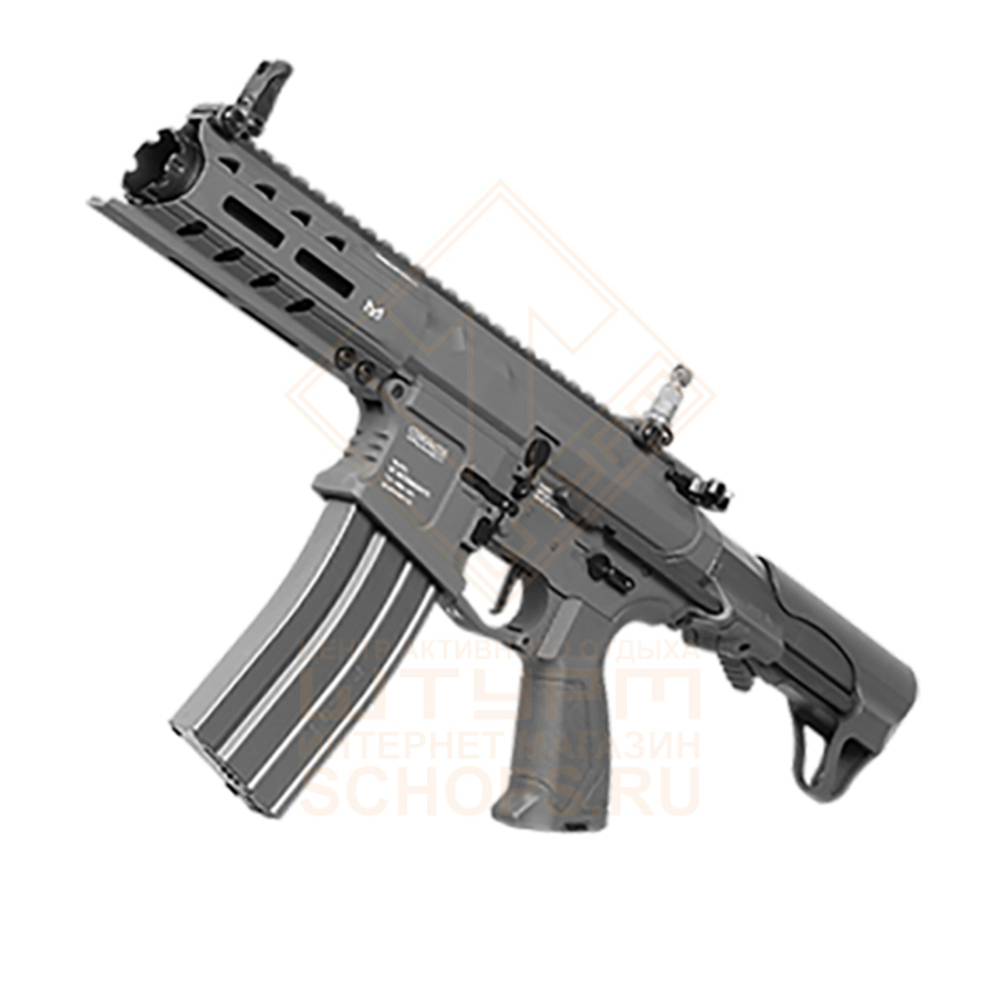 Модель автомата G&G ARP 556, Gray